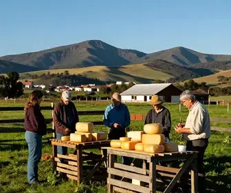 Descubra as Delícias das Fazendas de Queijo Artesanal em Minas Gerais Descubra as Delícias das Fazendas de Queijo Artesanal em Minas Gerais