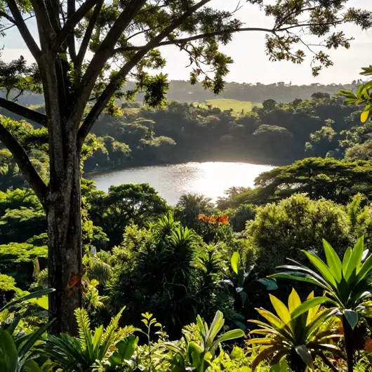 Descubra o Parque Estadual do Rio Doce Descubra o Parque Estadual do Rio Doce