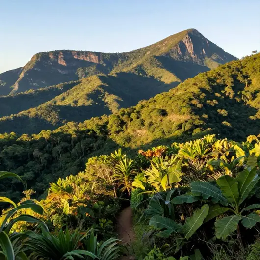 Descubra o Parque Estadual Serra do Intendente Descubra o Parque Estadual Serra do Intendente