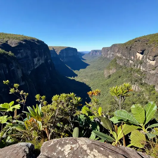 Explorando o Parque Nacional da Serra da Canastra