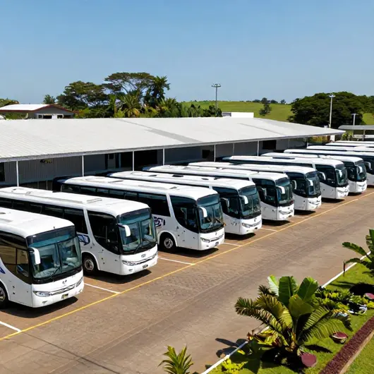 Viação São Luiz Viação São Luiz